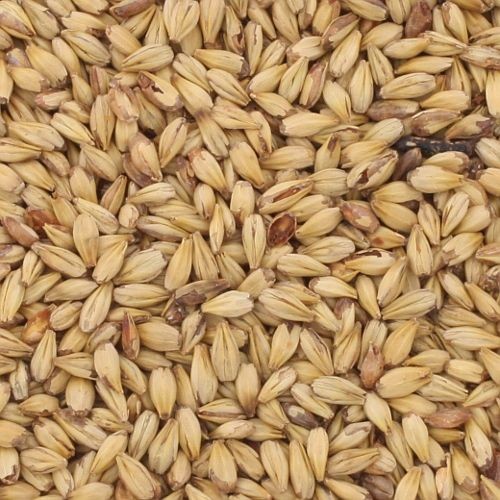 Caravienne malt