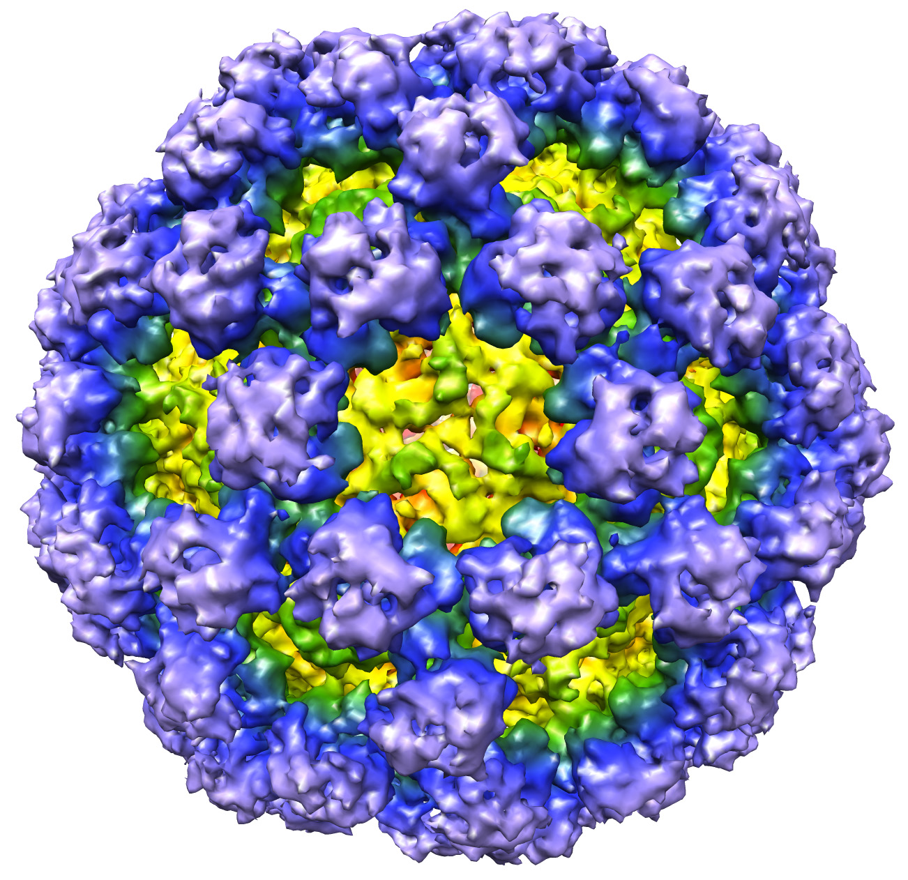 Notavirus