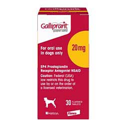 Adequan dosage for dogs