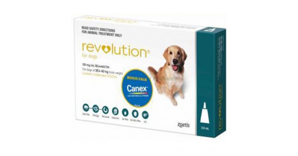 Bravecto flea pill for dogs