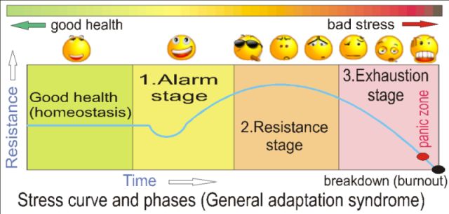 Hans selye's general adaptation syndrome