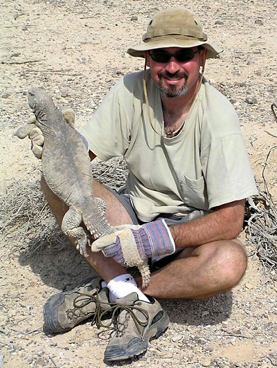 Bing: uromastyx aegyptia language:en